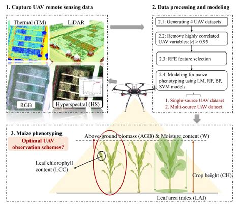 植物表型资讯基于田间作物表型分析的多源无人机遥感农业监测方案优化 知乎