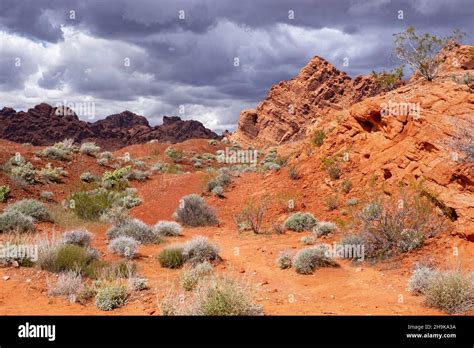 Red Sandstone Rock Formations In Valley Of Fire State Park Near Overton