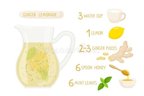 Ginger Lemonade Stock Illustrations 421 Ginger Lemonade Stock