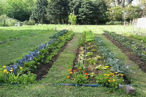 Huerta Agroecol Gica Consejos Para Producir En Oto O Invierno Agrolink