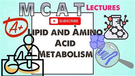 Biochemistry MCAT Chapter 10 Lipid And Amino Acid Metabolism 1 2