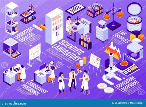 Diagrama De Flujo De Laboratorio Cient Fico Isom Trico Ilustraci N Del