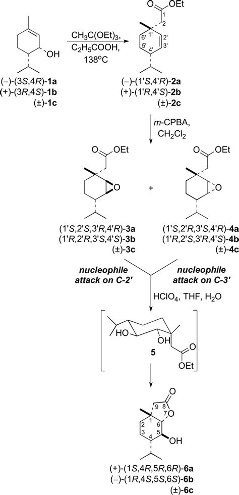 Synthesis Of Hydroxy Lactones 6a C Download Scientific Diagram