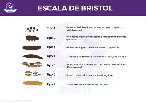 Escala De Bristol🥉 Descubra A Emoção Do Jogo Com Lance Corinthians