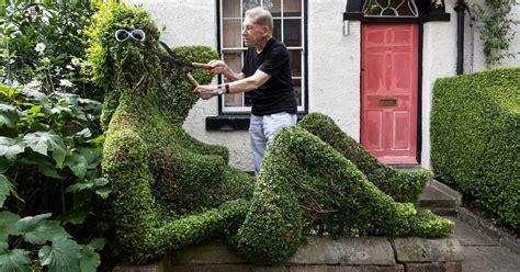 Man Cuts Hedge Into Shape Of Naked Lady But Drunks Keep Having Sex With It The Mirror