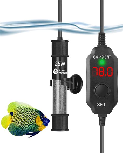 Best Aquarium Heaters for a Healthy and Happy Fish Tank - Tiny Finz