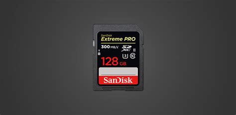 11 Best SD Cards for DSLR in 2025