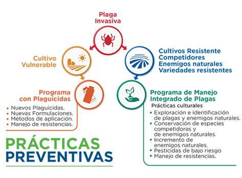 Aportes De La Protección De Cultivos A La Productividad Agrícola Croplife Latin America