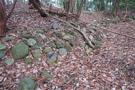 田光城の写真：田光城 主郭北の土塁・石積 猫セブンさん 攻城団