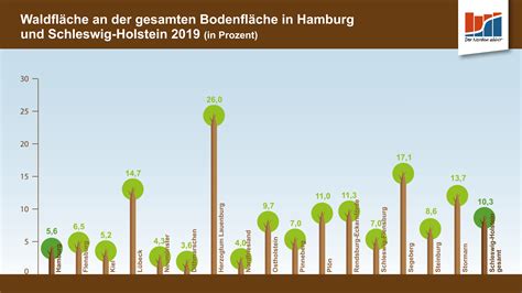 Internationaler Tag des Waldes Waldfläche in Hamburg und Schleswig