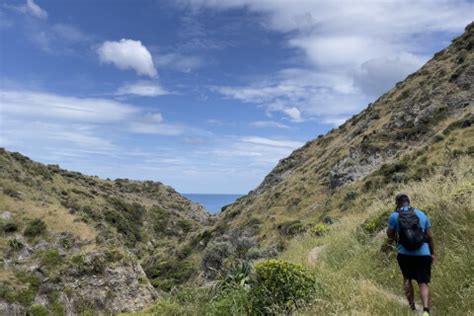 Mountain Safety Council New Zealand Read