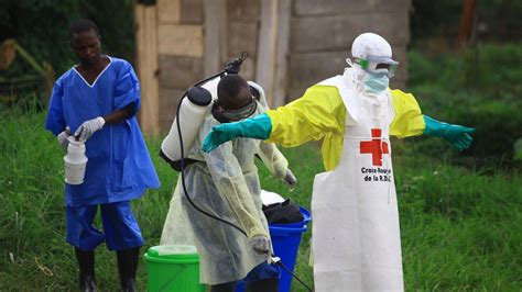 Ebola Forscher Entwickeln Zwei Wirksame Medikamente Stern De