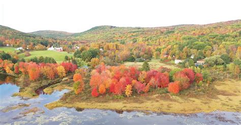 Aerial View Of A Field With Autumn Trees · Free Stock Video