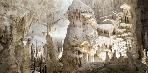 Grotte de Postojna Postojna Réservez des tickets pour votre visite