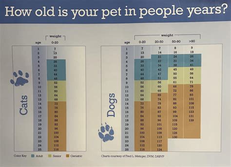 How old is your pet in people years? : r/ksns2