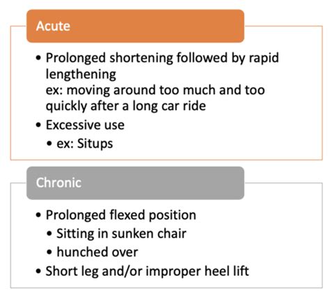 OPP Lecture 16 Psoas Syndrome Flashcards Quizlet