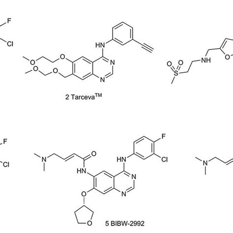 Reversible And Irreversible Inhibitors Targeting The Egfr Tyrosine