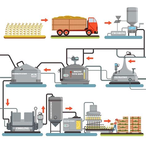 Proceso de elaboración de la cerveza producción de cerveza