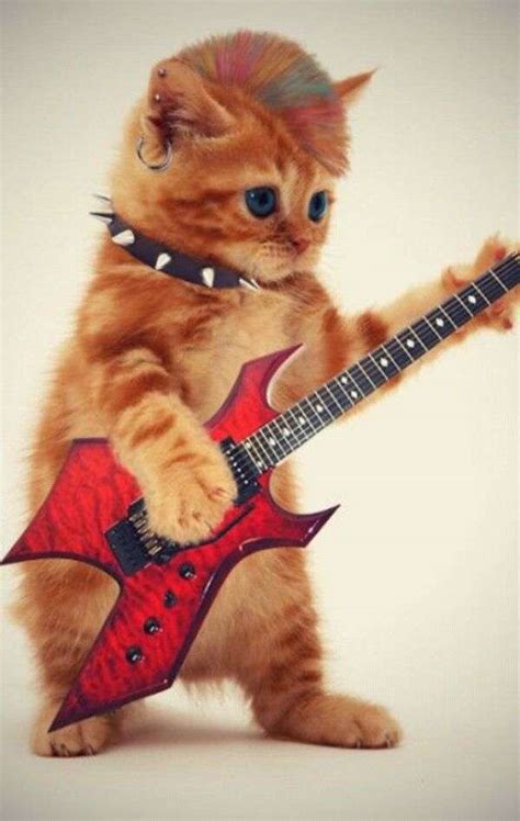 Gatito Tocando Guitarra Rompecabezas En L Nea