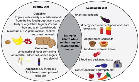 Nutrients Free Full Text A Novel Dietary Assessment Method To