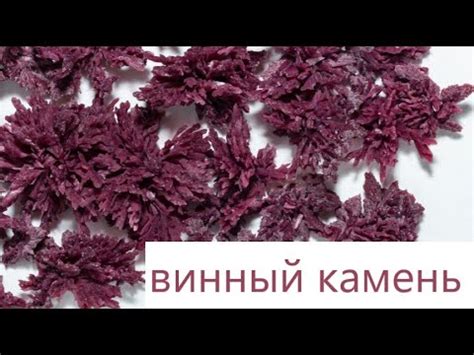 ОТКУДА БЕРУТСЯ КРИСТАЛЛЫ В ВИНЕ, ЧТО ТАКОЕ ВИННЫЙ КАМЕНЬ - YouTube