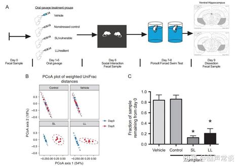 脑声常谈丨肠道微生物菌群对应激易感大鼠抑郁样行为及腹侧海马炎症反应的调节作用 知乎