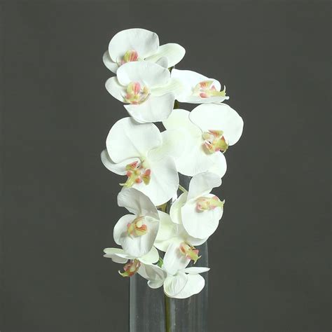 Orchidee Phalaenopsis creme grün 90 cm Kunstblume von DPI 21 50