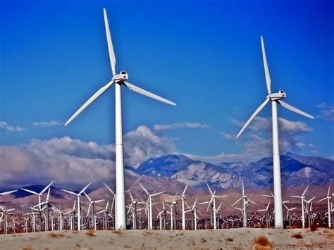 The Next Narrative: Are Wind Farms a Good Choice for Environmentally Safe Energy?