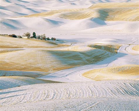 Jay Smith - Palouse Winter