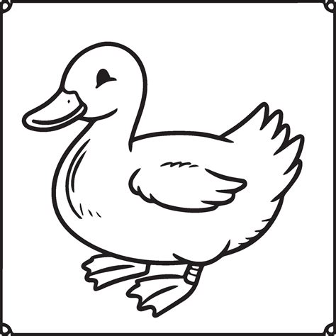 Duck coloring pages. Duck outline vector for coloring book 41926222 Vector Art at Vecteezy