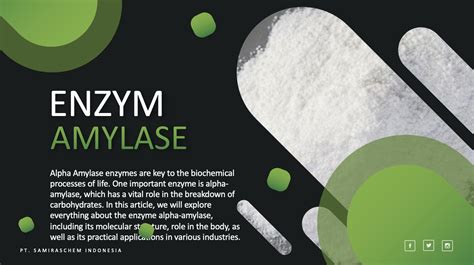 Jual Enzym Alpha Amylase I Enzym α Amylase