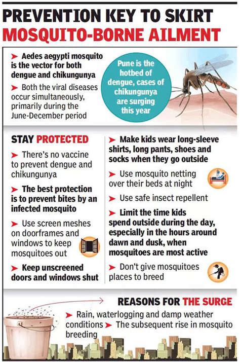 Chikungunya Rash With Itching In Focus As Chikungunya Cases Rise In