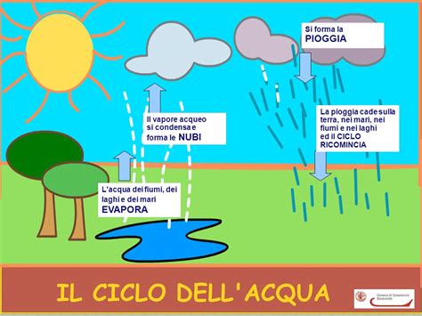 Ciclo Dellacqua Per Bambini Da Colorare