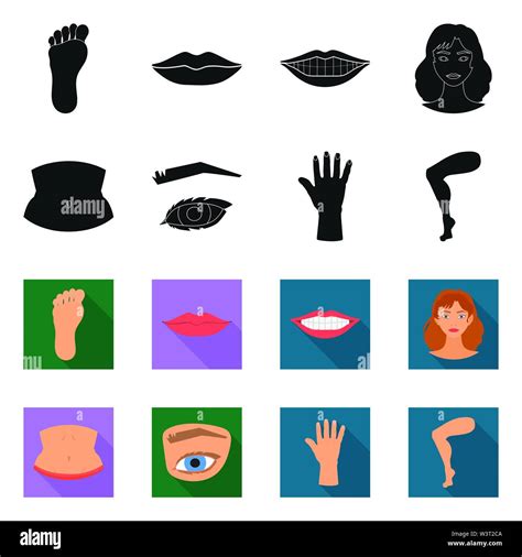 Vector Illustration Of Body And Part Symbol Collection Of Body And