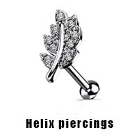 Piercings Kopen Online Gratis Verzending Lmpiercings