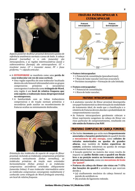 Solution Fratura Do F Mur Proximal Studypool