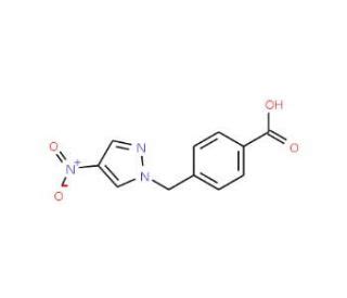 Nitro H Pyrazol Yl Methyl Benzoic Acid Scbt Santa Cruz