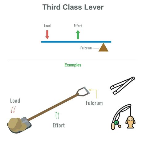 Third class lever with example vector illustration 23452897 Vector Art ...