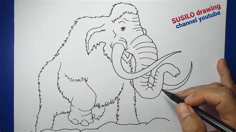 Cara Menggambar Gajah Mammoth Untuk Pemula How To Draw Mammoth For