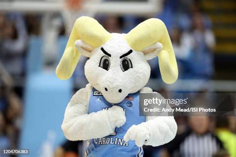 Unc Mascot Rameses Photos and Premium High Res Pictures - Getty Images