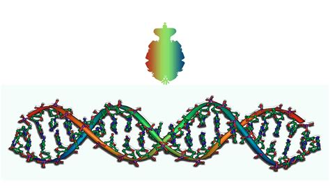 Visualización de macromoléculas biológicas para entender su función en