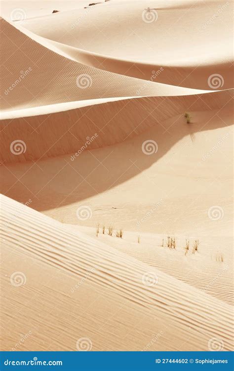 Rolling Sand Dunes of the Arabian Desert Stock Photo - Image of natural ...