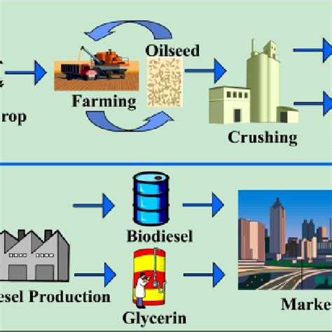 Supply Chain Of Biodiesel Download Scientific Diagram