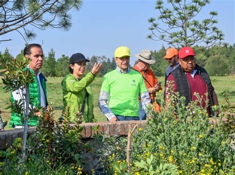 Toluca Reafirma Su Compromiso Con El Medio Ambiente La Jornada Estado