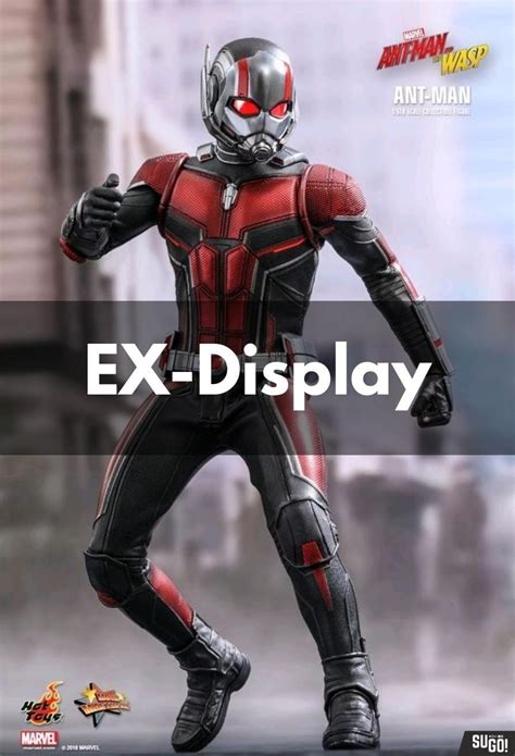 Hot Toys Ant Man And The Wasp Ant Man Scale Figure Mms Ex Display Sugo Toys
