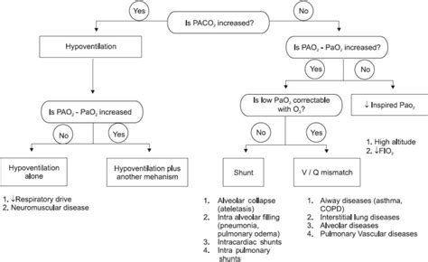 Flow Diagram Showing Approach To Hypoxemic Respiratory Failure