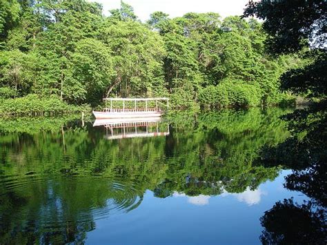 Inventário Ambiental De Fortaleza Parque Do Cocó O Diferencial De