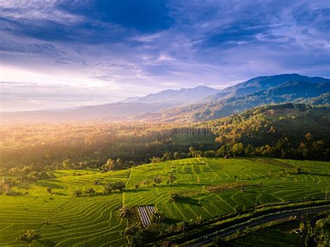 Indonesian Natural Beauty With A View Of Green Rice Fields As Well As A