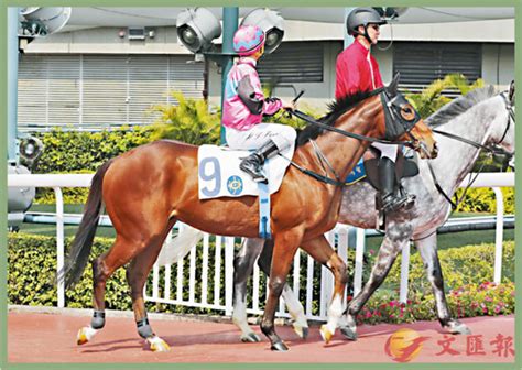 【文匯精選】冰糖葫蘆短途食得 香港文匯報