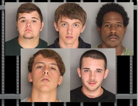 Berkeley Co Sheriffs Office Releases Identities Of Teen Suspects In